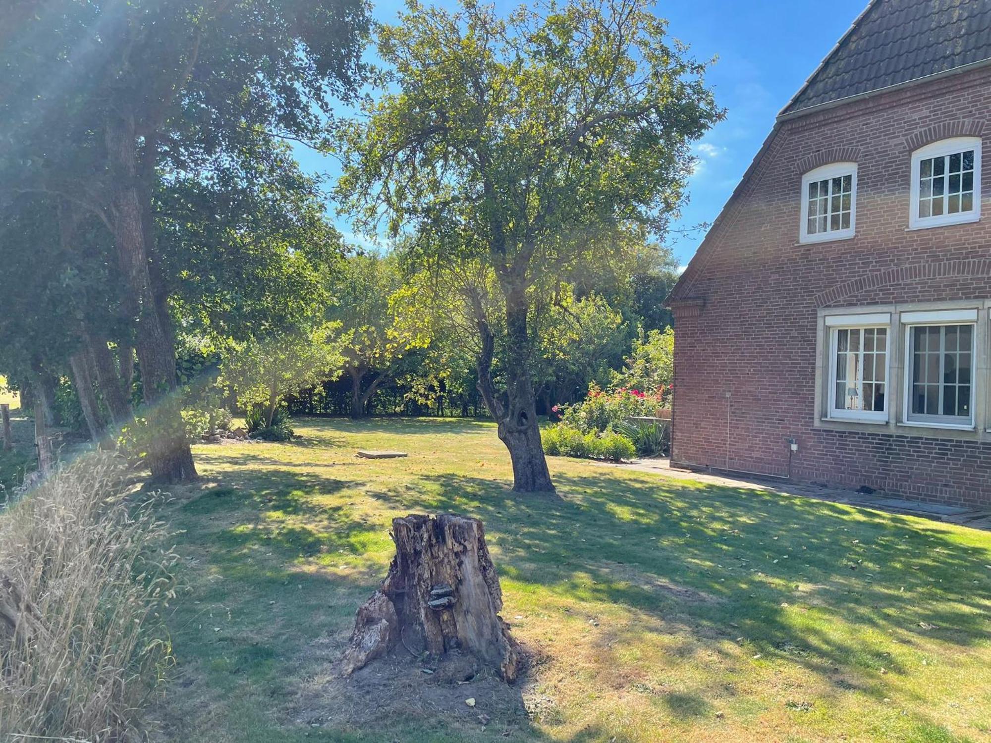 Pension Nordwind Hedwigenkoog Bagian luar foto